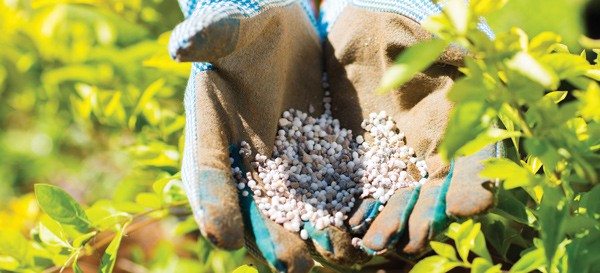 fertilizer garden gloves